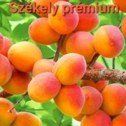 Kézműves Székely cukormentes lekvár - SÁRGABARACK 310 g - 100 % gyümölcs, édesítőszer nélkül, sűrítőanyag nélkül