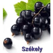 Kézműves Székely FEKETE RIBIZLI LÉ, (szörp) cukormentes  -  500ml üveges - prémium, édesítőszer mentes