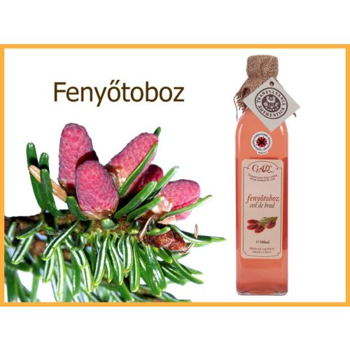 székely fenyőtoboz szörp