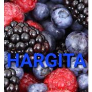 erdélyi vegyes erdeigyümölcs szörp üveges