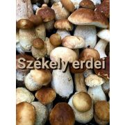 Kézműves Székely Prémium Vargányagombás Zakuszka 310 ml 