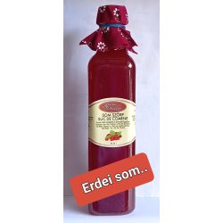 Kézműves székely szörp - Som 500 ml