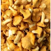 Hargitai prémium párolt erdei RÓKAGOMBA 310 ml