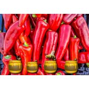 Mézes hargitai  csípős paprika "lekvár" (krém) 200 ml