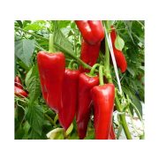 Mézes hargitai  csípős paprika "lekvár" (krém) 200 ml