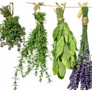 nagy parajdi sópárna gyógynövényes