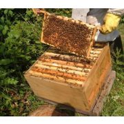 Prémium Székelyföldi Levendulás Akácméz 400 g - EXTRA LEVENDULAKIVONATTAL