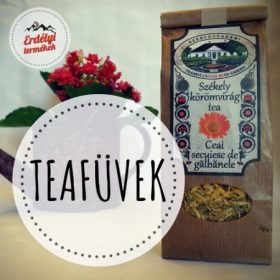 TEAFÜVEK,   BOGYÓS GYÜMÖLCSTEÁK